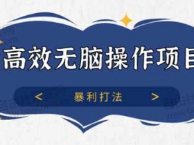 副业项目《高效无脑操作项目 暴利打法》视频教程