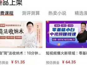 副业项目：新手可操作项目，课程分销，如何月入200+