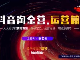 短视频副业《抖音淘金营 运营篇》视频教程