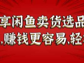 副业项目《闲鱼卖货选品技巧,赚钱更容易、轻松》视频教程