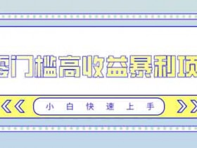 副业项目《零门槛高收益暴利项目,小白快速上手》视频教程