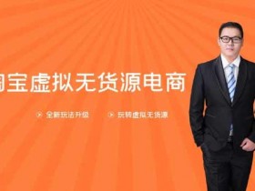 电商副业《淘宝虚拟无货源电商第10期》视频教程