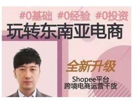 电商副业《玩转东南亚电商》视频教程