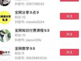抖音搬砖项目:一单9.9,却月入10w+看怎么操作的