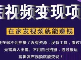 短视频副业《短视频变现项目,在家发视频就能赚钱》视频教程