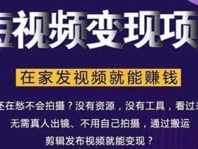 短视频副业《短视频变现项目，在家发视频就能赚钱》视频教程