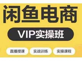 电商副业《闲鱼电商VIP实操班 月入10000+闲鱼副业》视频教程