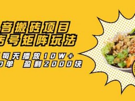 抖音副业《黑帽星球抖音搬砖赚钱项目,抖音探店号矩阵的赚钱玩法》图文教程