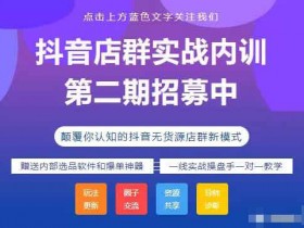 抖音副业《抖音店群实战内训 蓝海矩阵玩法》视频教程