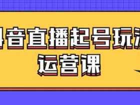 抖音副业《抖音直播起号玩法运营课》视频教程