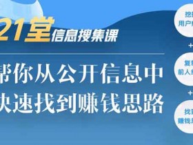 副业提升《21堂信息搜集课》视频教程