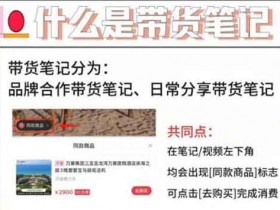 副业带货:小红书怎么带货赚钱?
