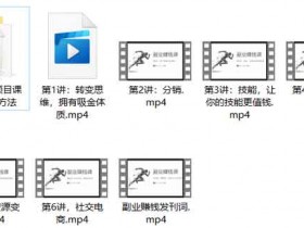 副业教程《副业赚钱课》视频教程