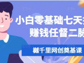 副业提升《零基础七天打通赚钱任督二脉》视频教程