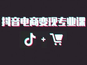 电商运营《抖音电商变现专业课》视频课程