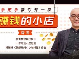 电商运营《手把手教你开一家赚钱的小店》视频教程