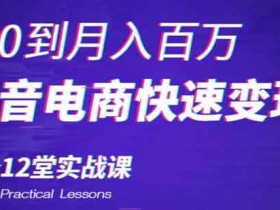 电商运营《从0到月入百万， 抖音电商快速变现必备12堂实战课》视频教程