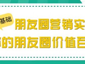 副业提升《零基础朋友圈营销实战：你的朋友圈价值百万》视频教程