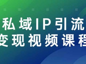 自媒体《私域IP引流变现视频课程》视频教程