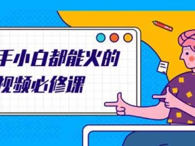 短视频《新手小白都能火的短视频必修课》视频教程
