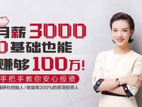 投资理财《月薪3000,0基础也能赚够100万》视频教程