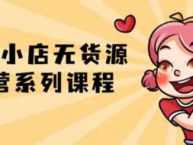 电商运营《抖音小店无货源运营系列课程》视频教程