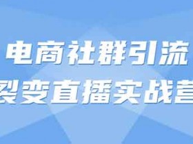 电商运营《电商社群引流裂变直播实战营》视频教程