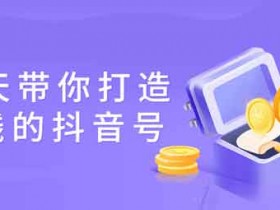 短视频《15天带你打造赚钱的抖音号》视频教程