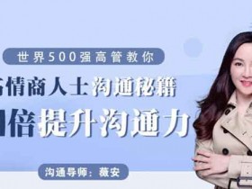 自我提升《10倍沟通技巧,沟通改变命运》视频教程