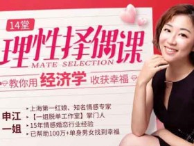 自我提升《14堂课教你理性择偶,用经济学收获幸福》视频教程
