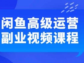 电商运营《闲鱼高级运营副业》视频教程