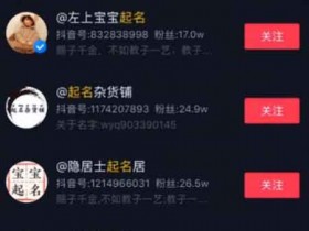 起名副业项目,抖音引流一单300+玩法分享
