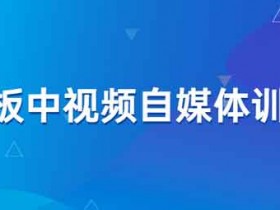 自媒体《蟹老板中视频自媒体训练课》视频教程
