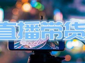 直播副业《直播带货线上特训营》视频教程