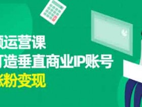 短视频副业《短视频运营课,如何打造垂直商业IP账号》视频教程