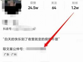 无脑引流涨粉副业,零投资月入10000+