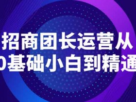 新媒体副业《招商团长运营从0基础小白到精通》视频教程