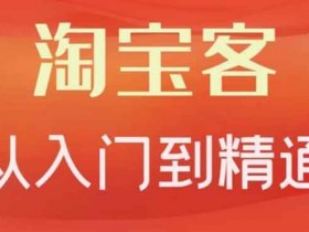 电商运营《淘宝客从入门到精通，教你做一个赚钱的淘宝客》视频教程