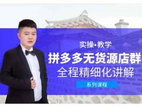 电商运营《拼多多无货源店群》视频教程