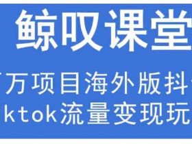 短视频《海外TIKTOK训练营》视频教程