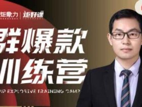 副业课程《半度老师群爆款训练营》视频教程