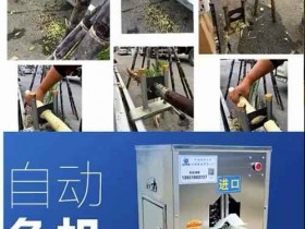 冷门蓝海偏门小项目,一单能赚1000+