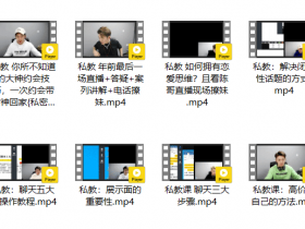 陈哥《私教》直播视频教程