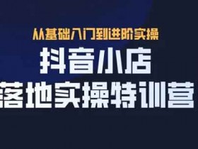 抖音电商《抖音小店实操落地特训营》视频教程