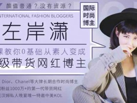 自媒体副业《12堂课教你从0变身,成为超级带货网红博主》视频教程
