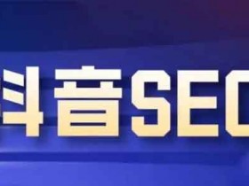 抖音副业技巧:拆解抖音seo的赚钱玩法,做外包服务一单5.8w利润