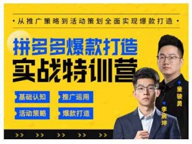电商运营《拼多多爆款打造实战特训营》视频教程