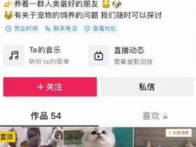 抖音副业:抖音热门同城副业项目,无脑操作一天500+