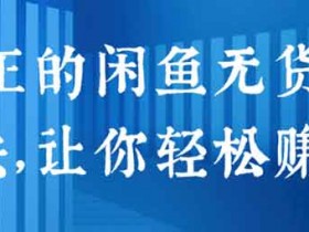 电商副业《真正的闲鱼无货源玩法，让你轻松赚钱》视频教程