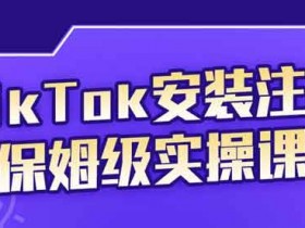 短视频《TikTok安装注册保姆级实操课》视频教程